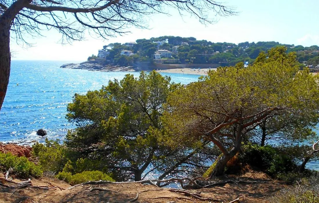 Cs1 Villa De Lujo A 500 Metros De La Playa De Sant Pol سان فيليو ذي غيشولس إسبانيا